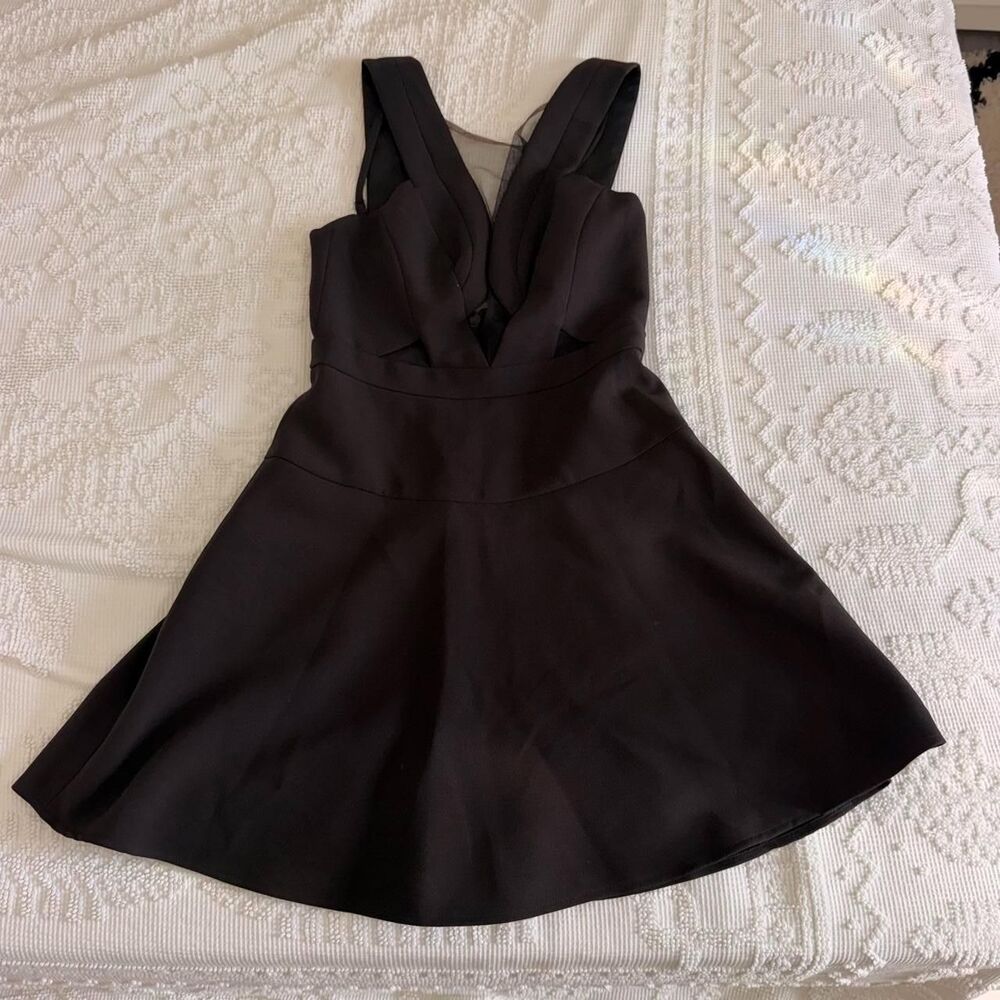 Bcbgmaxazria Women's Brown and Black Dress